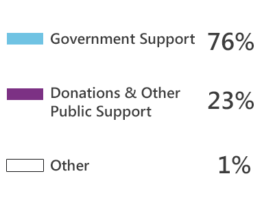 Government Support 79%; Donations and other public support 20%;Other 1%